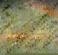 Time Walk Windjana Gorge National Park - Hotel Gold Coast