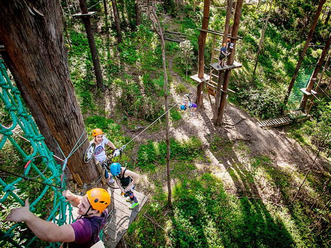 TreeTop Challenge Currumbin Wildlife Sanctuary - Hotel Gold Coast 2