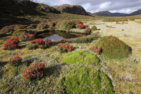 Walls Of Jerusalem National Park - Hotel Gold Coast 1