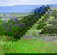 Wild Dog Barrier Fence - Hotel Gold Coast