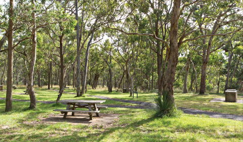 Wollomombi Gorge And Falls Picnic Area - Hotel Gold Coast 0
