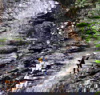 Full-Day Canyoning Experience at Stunning Empress Canyon - Hotel Gold Coast