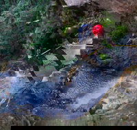 Small-Group Full-Day Canyoning and Abseiling Adventure from Katoomba - Hotel Gold Coast