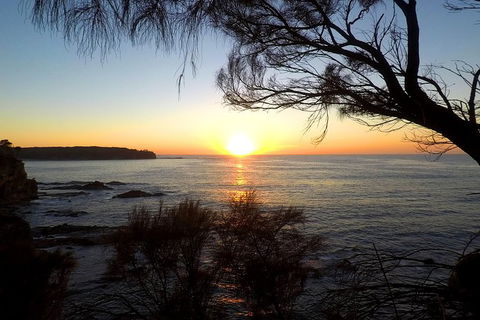 Batemans Bay Overnight Kayak Camping Tour - All Inclusive - Hotel Gold Coast 1