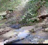 Bomaderry Creek Regional Park