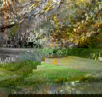 Gateway Island Parklands - Hotel Gold Coast