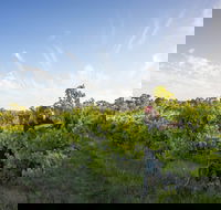 Mclaren Vale - Hotel Gold Coast