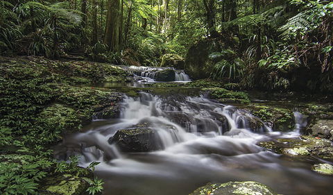 Protesters Falls Walking Track - Hotel Gold Coast 0