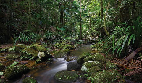 Protesters Falls Walking Track - Hotel Gold Coast 2