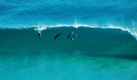 Sand Patch - Hotel Gold Coast 1