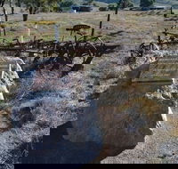 Wangaraleednie Monument  Ruins - Hotel Gold Coast