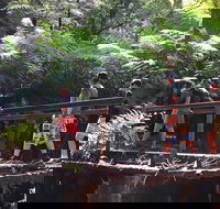 Glow Worm Tunnel Hike - Hotel Gold Coast