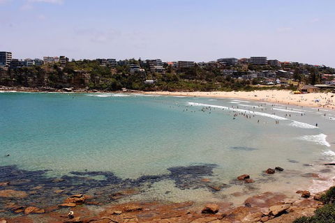 Half Day Manly Beach And More - Hotel Gold Coast 11