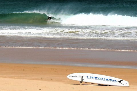 Half Day Manly Beach And More - Hotel Gold Coast 5