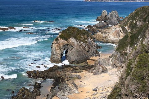 Narooma And Tilba Valley Private Tour - Hotel Gold Coast 8