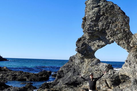 Narooma And Tilba Valley Private Tour - Hotel Gold Coast 4