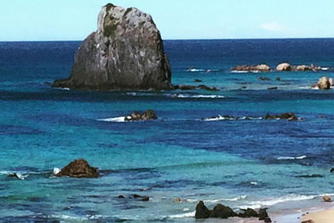 Narooma And Tilba Valley Private Tour - Hotel Gold Coast 9