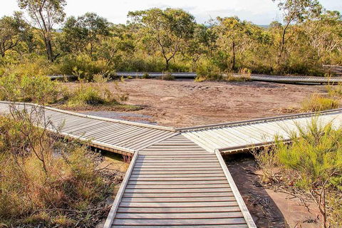 Kangaroo Encounter & Aboriginal Rock Arts Half-Day Trip From Sydney - Hotel Gold Coast 1