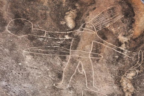 Kangaroo Encounter & Aboriginal Rock Arts Half-Day Trip From Sydney - Hotel Gold Coast 4