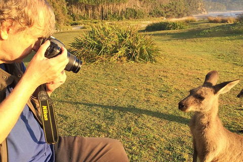 Highlights Of The Eurobodalla (half Day Private Tour) - Hotel Gold Coast 2
