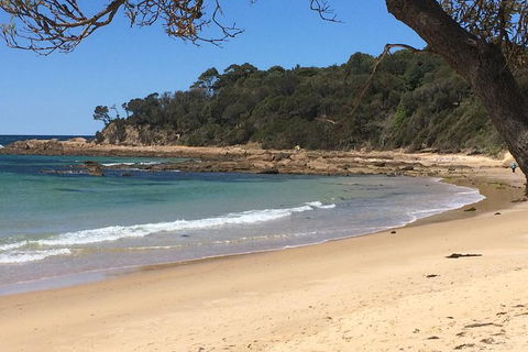 Highlights Of The Eurobodalla (half Day Private Tour) - Hotel Gold Coast 5