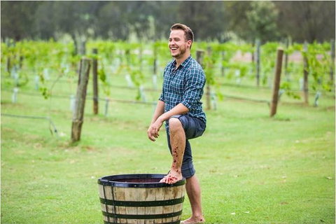 Hunter Valley Grape Stomping - Hotel Gold Coast 0
