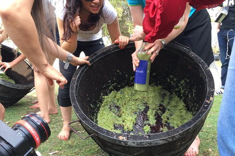 Hunter Valley Grape Stomping - Hotel Gold Coast 3