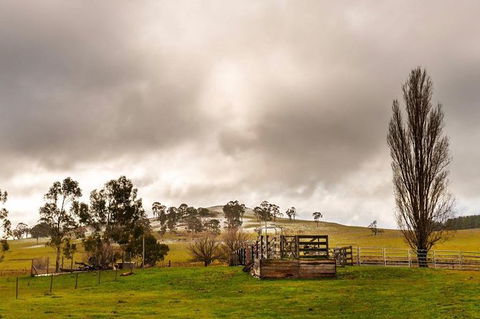 Paddock To Plate Farm Tour And Tasting - Hotel Gold Coast 0