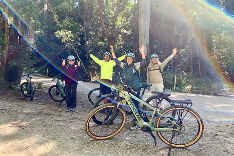 Guided E Bike Tour - Unicorn Falls & National Park - Hotel Gold Coast 3