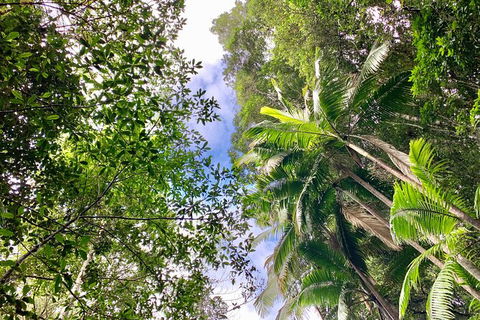 Guided E Bike Tour - Unicorn Falls & National Park - Hotel Gold Coast 5