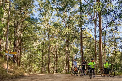 Guided E Bike Tour - Unicorn Falls & National Park - Hotel Gold Coast 10