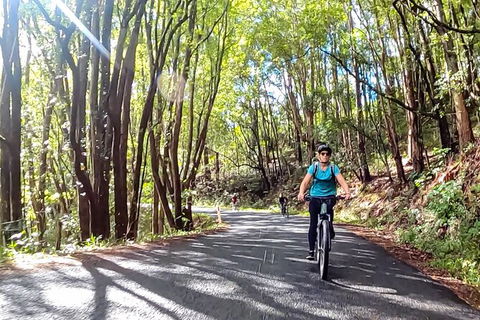 Guided E Bike Tour - Unicorn Falls & National Park - Hotel Gold Coast 16