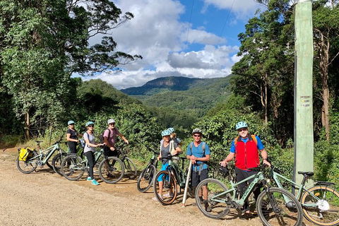 Guided E Bike Tour - Unicorn Falls & National Park - Hotel Gold Coast 13