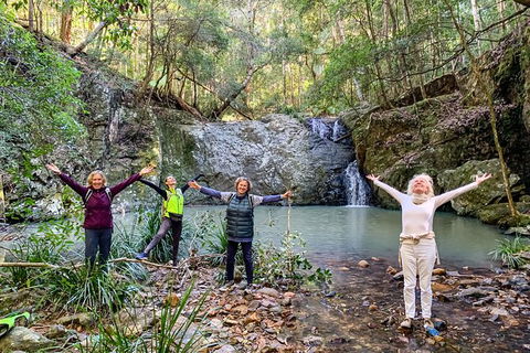 Guided E Bike Tour - Unicorn Falls & National Park - Hotel Gold Coast 8
