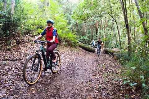 Guided E Bike Tour - Unicorn Falls & National Park - Hotel Gold Coast 9