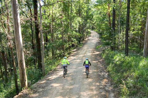 Guided E Bike Tour - Unicorn Falls & National Park - Hotel Gold Coast 7