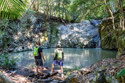 Guided E Bike Tour - Unicorn Falls & National Park - Hotel Gold Coast 2