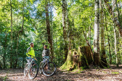 Guided E Bike Tour - Unicorn Falls & National Park - Hotel Gold Coast 14