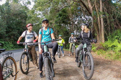 Guided E Bike Tour - Unicorn Falls & National Park - Hotel Gold Coast 11