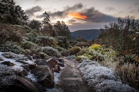 Blue Mountains Botanic Garden And Bilpin Tour From Katoomba With Cider Tasting - Hotel Gold Coast 2