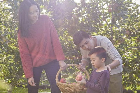 Blue Mountains Botanic Garden And Bilpin Tour From Katoomba With Cider Tasting - Hotel Gold Coast 1