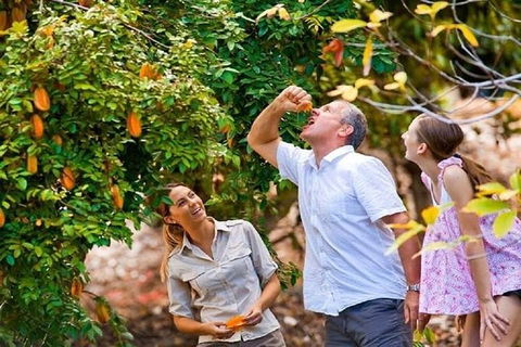 Full-Day Guided Tour Byron Bay With Pickup - Hotel Gold Coast 1