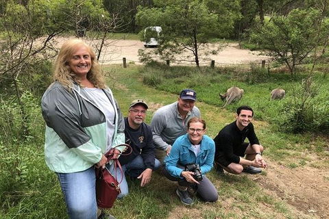 Full-Day Guided Tour Of Blue Mountains With Pick Up - Hotel Gold Coast 2