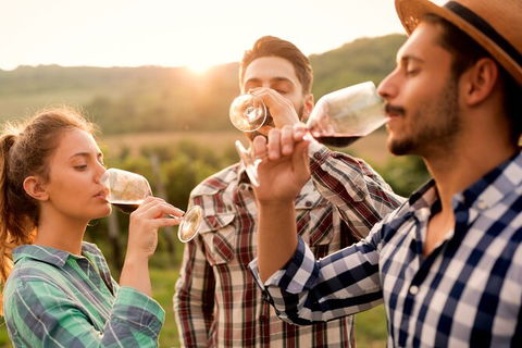 All-inclusive Morning Wine Tour In Orange - Hotel Gold Coast 0