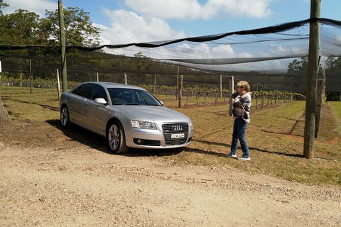 The Secret Vines Experience Port Macquarie - Hotel Gold Coast 0