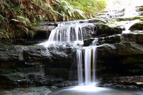 Private 10-hour Tour To Blue Mountains From Sydney - Hotel Pick Up & Drop Off - Hotel Gold Coast 6