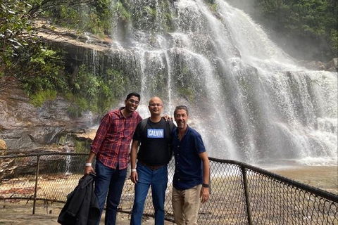 Blue Mountains Highlights & Wildlife Park - Hotel Gold Coast 4