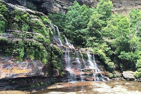 Blue Mountains Highlights & Wildlife Park - Hotel Gold Coast 8