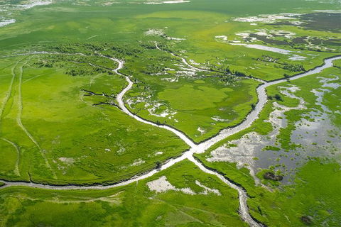 60 Minute Scenic Flight From Cooinda - Hotel Gold Coast 0