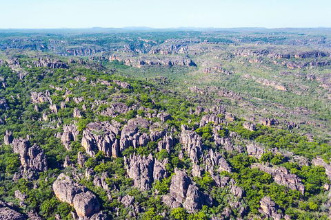 Jabiru 30 Minute Scenic Flight - Hotel Gold Coast 1